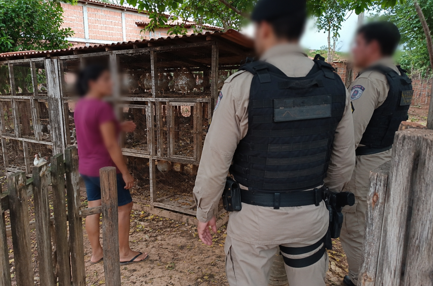 PM atende denúncia de maus-tratos a animais no povoado Alecrim, em Igreja Nova