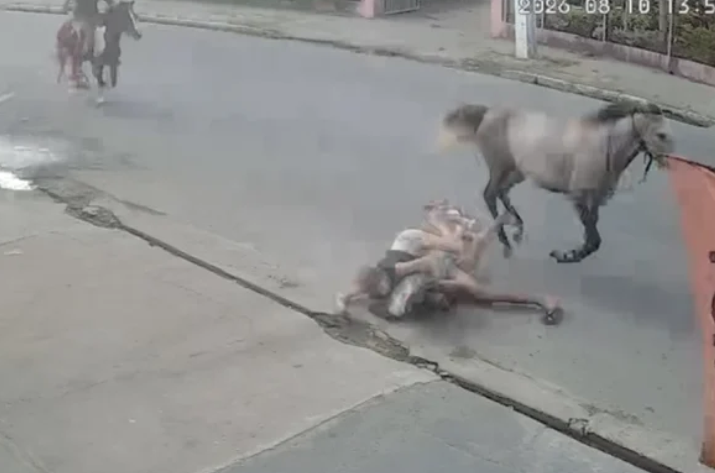 Casal cai de cavalo em alta velocidade durante acidente em via pública de Arapiraca