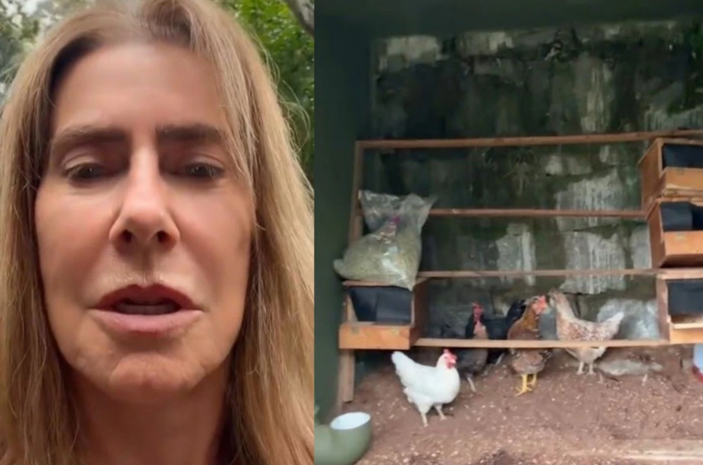Longe das novelas, Maitê Proença troca vida urbana por rotina no campo