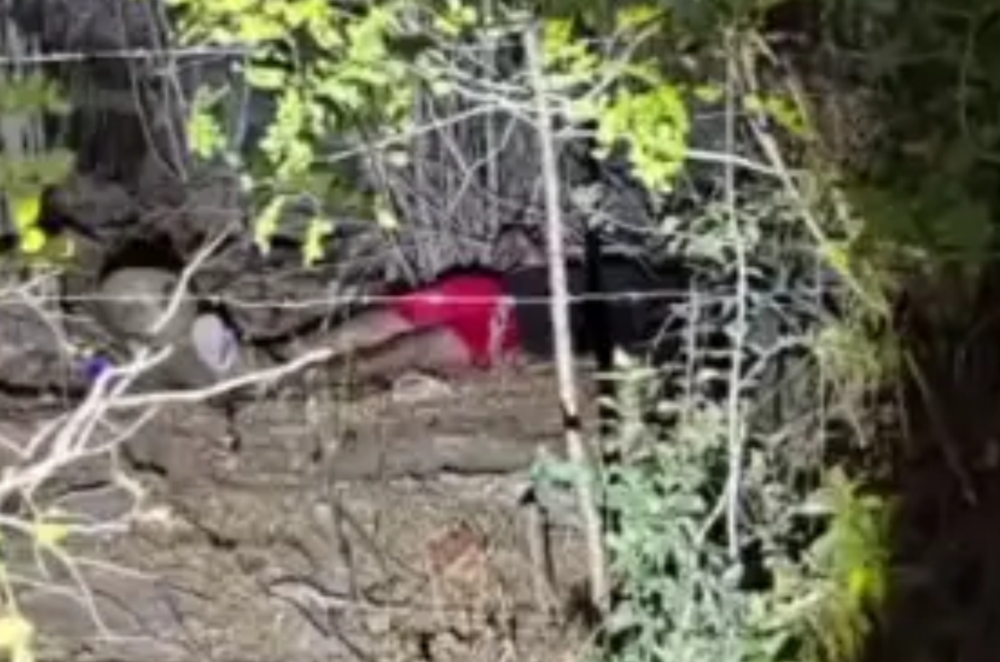 Corpo de adolescente de 16 anos é encontrado com sinais de extrema violência em Delmiro Gouveia