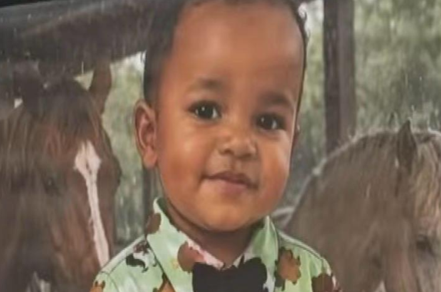 Mãe perde filho de 2 anos atropelado no dia do próprio aniversário: “Perdi meu filho”