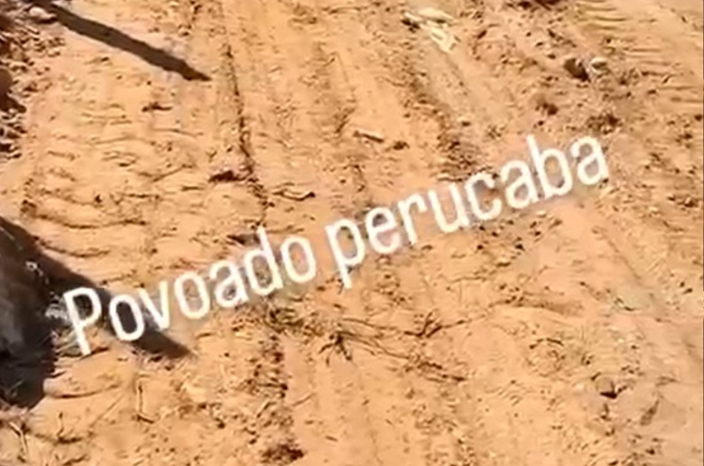 Morador denuncia abandono de estrada no povoado Perucaba e critica serviço da Prefeitura
