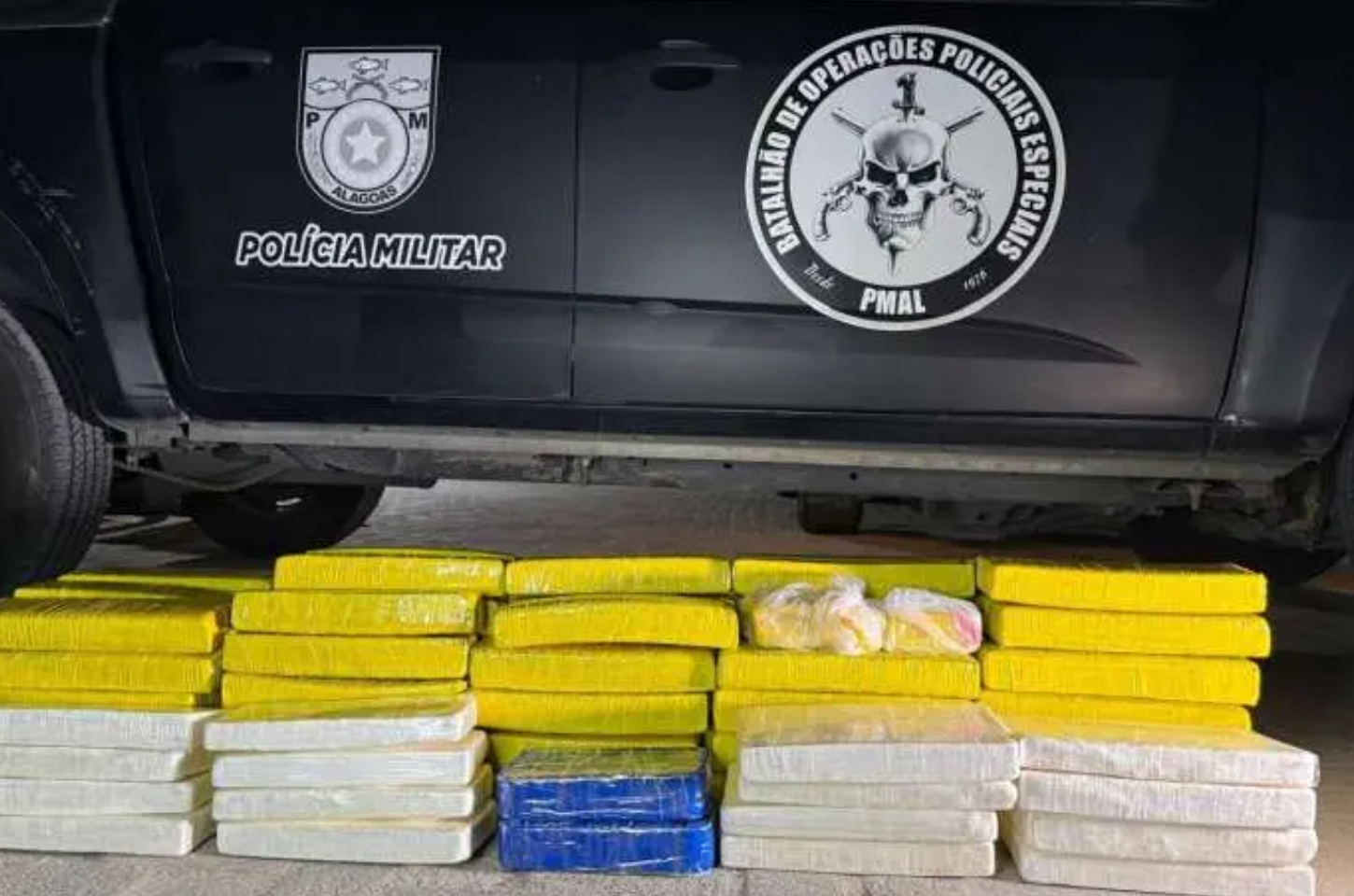 Operação conjunta apreende mais de 100 kg de drogas e prende dois suspeitos na BR-316
