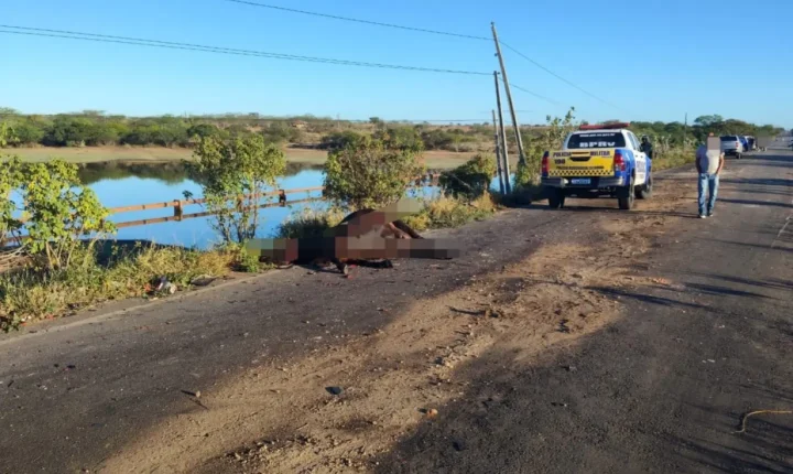 Colisão entre ambulância do SAMU e caminhão deixa dois mortos e seis feridos em Sergipe