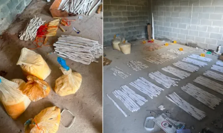 Esquadrão Antibombas recolhe mais de 100 kg de explosivos abandonados