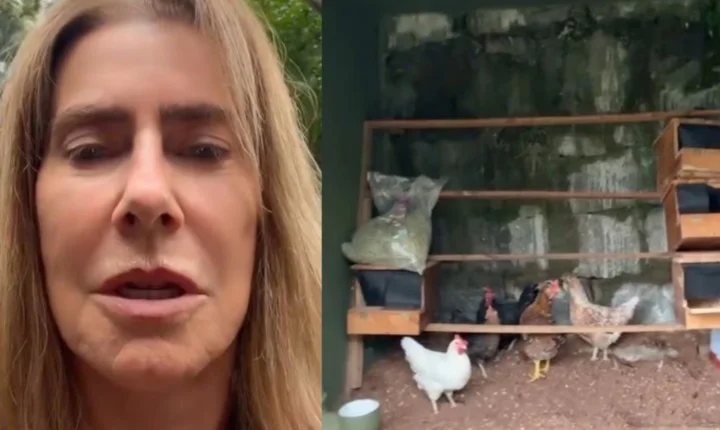 Longe das novelas, Maitê Proença troca vida urbana por rotina no campo
