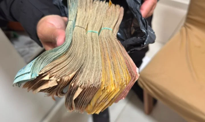 PF deflagra operação contra grupo que cultivava maconha e bloqueia R$ 50 milhões